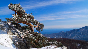 С видом на ЮБК / Крым. Чатыр-Даг. Зима
