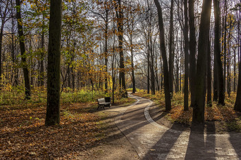 \осенние тени в парке Царицыно (Москва) / Осенний парк, редкие лучи солнца освещают деревья, образуя длинные осенние тени...