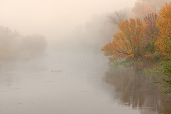 Туманный Айдар / утро,туман,река Айдар