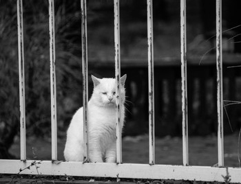 Не мой взгляд / ***