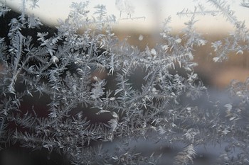 Уже не осень, но ещё не зима. / Мороз узором по стеклу ползёт
И кружева плетёт без спиц умело.
Вот чудо – сказка на окне растёт –
Фантазию зима внедряет смело!