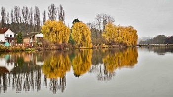 осень... / Конец ноября.Серый день.И желтые кружева деревьев...
