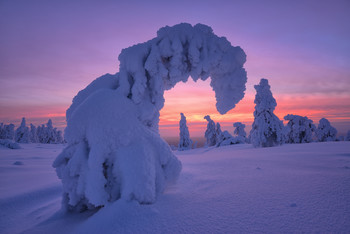 Зима однако... / Финляндия 2019
В январе 2020 еду в Финляндию на Рождество
В феврале 2020 Кандалакша. 
Свободно по одному месту. Подробности туров на сайте