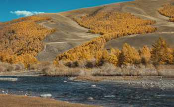 &nbsp; / Осень.