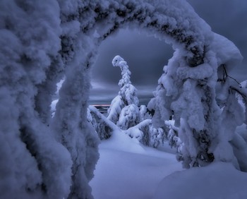 Заснеженная вершина Салмы. / Продолжаю серию снимков из ноябрьского фототура по Кольскому полуострову. И снова заснеженная вершина Салмы.
Кольский полуостров, Полярнозоринский район, ноябрь 2019 г.
Nikon D800 + Nikkor 16-35 (F7.1, 1/25 sec, ISO 320).