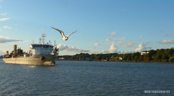 Hamburg / Альбом "Лайнеры, парусники, пароходы" : http://fotokto.ru/id156888/photo?album=62974 Парад кораблей:
http://fotokto.ru/id156888/photo?album=62974#photo4066175 http://www.chaika.ru/cities/2/events/0/1794/
Слайд-шоу Берег Эльбы:
https://www.youtube.com/watch?v=_8iY4QcGL-A&t=8s https://www.youtube.com/watch?v=EVMHpH6SJxA
Корабли на Эльбе:
https://www.youtube.com/watch?v=DA7DProSV6o&list=UUEOp3amNaNT0205lPmdFi8w&index=19
Портовый центр и складской район Гамбурга:
https://www.youtube.com/watch?v=i0kxa-sex6o
https://www.youtube.com/channel/UCEOp3amNaNT0205lPmdFi8w/videos?
view=0&sort=dd&shelf_id=1
https://www.youtube.com/watch?v=x9J0hsMX_Zs