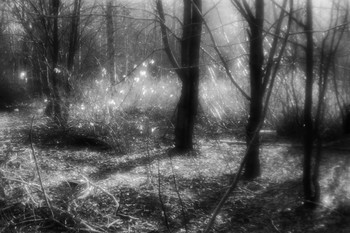 &nbsp; / [img]https://d.radikal.ru/d43/1911/29/007c1d9901a7.jpg[/img]

[img]https://c.radikal.ru/c10/1911/71/071e999771a7.jpg[/img]