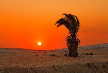Жаркий закат... / В пустыне Негев. ХАМСИН. Юг Израиля.