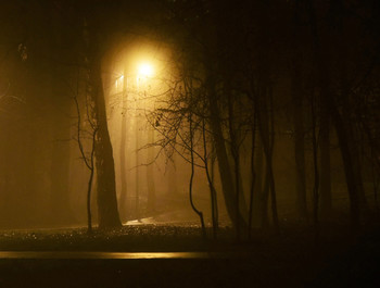 "Ночь завернулась в туман ..." / "Звезды закрыли ресницы,
 Ночь завернулась в туман,
 Тянутся грез вереницы,
 В сердце любовь и обман ..."
 В.Брюсов