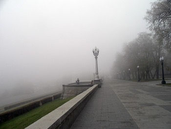 &nbsp; / in the fog