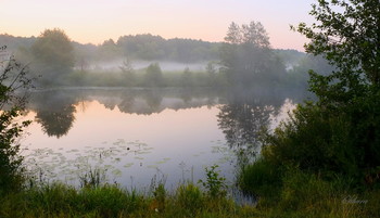 Рано утром. / Летние туманы. Озеро Рожок юго-восток Московской области.