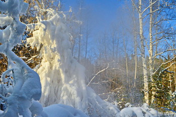 &nbsp; / мороз и пар