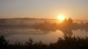 Рассветный туман. / Утренний туман на озере Сосновое юго-восток Московской области.