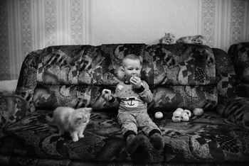 Полдник с котятами / модель Алексей Смирнов