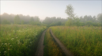 Утренняя зарисовка / Кемерово, Западная Сибирь