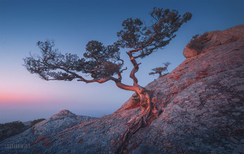 &nbsp; / Новый Свет, Крым