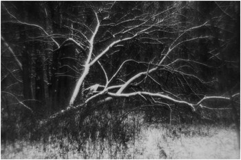 Первый снег / [img]https://c.radikal.ru/c24/1912/9e/94129671cabf.jpg[/img]








[img]https://c.radikal.ru/c26/1912/96/ced044bead7a.jpg[/img]

[img]https://c.radikal.ru/c42/1912/c8/648df16ceb1e.jpg[/img]
[img]https://d.radikal.ru/d37/1912/b8/53c013a02134.jpg[/img]

[img]https://a.radikal.ru/a35/1912/a4/8248e2eb3170.jpg[/img]