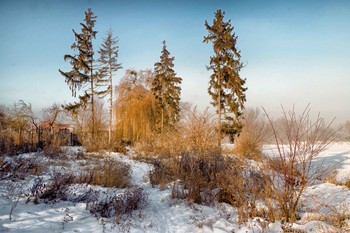 зимний день / Зима.Солнце.Снег.