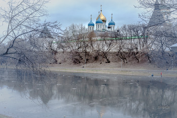 московские купола / Новоспасский монастырь