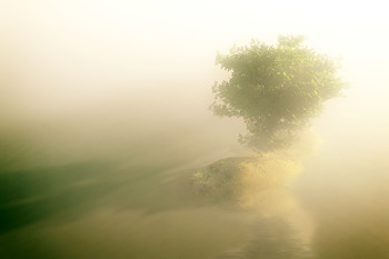 Одиноко... / деревцо в тумане