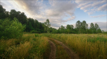 Лесными дорогами / Кемерово, Западная Сибирь