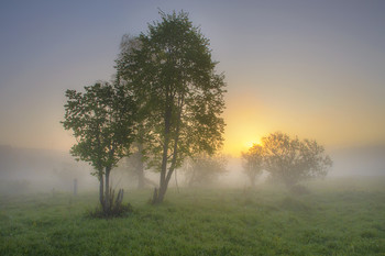 &nbsp; / Утро в июне 5.32