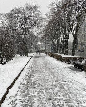 Первый снег на бульварах / Рига
