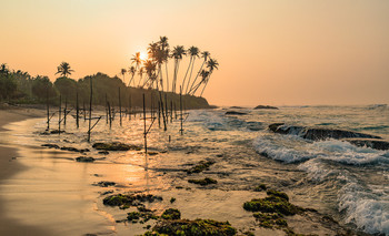 Рассвет на Шри Ланке / Щри Ланка