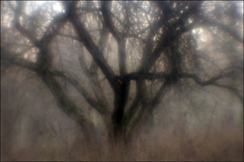 &nbsp; / В парке на Университетском проспекте

[img]https://c.radikal.ru/c32/1912/bb/7c7cea4c957c.jpg[/img]





[img]https://c.radikal.ru/c26/1912/4a/7e2b98325280.jpg[/img]


[img]https://b.radikal.ru/b43/1912/41/8072cda1ae33.jpg[/img]


[img]https://c.radikal.ru/c07/1912/e1/eb4d88ae5f4f.jpg[/img]


[img]https://b.radikal.ru/b33/1912/3a/eb6780139077.jpg[/img]