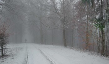 В тумане путник одинокий / Зимние туманы