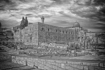 Вид на мечеть Аль -Акса / Иерусалим