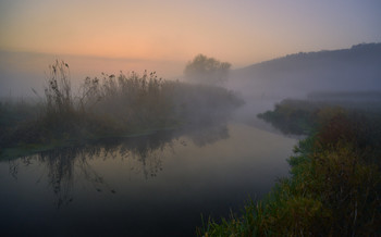 Сиреневый туман / река Северский Донец. Осень 2019.