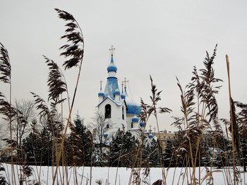 зимние прогулки / Храм Рождества Христова, строительство которого началось в 1999 г., был открыт в Пулковском парке специально для всех желающих посещать праздничные и воскресные службы. Он выполнен в неорусском стиле и благодаря своим 17 куполам считается главным многокупольным храмом в Петербурге.