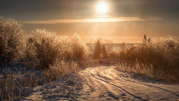 Солнце в морозный день / Деревня Успенка, Пермский край.