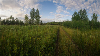 Лесными дорогами / Кемерово, Западная Сибирь