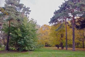 Осенний этюд / Уголок Кунцево