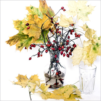 &nbsp; / Натюрморт