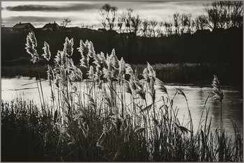 &nbsp; / ноябрь