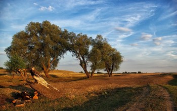 Вечерело. / Жаркий август 2010г.