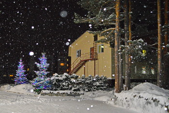 нарядные елки / вечер, снег...