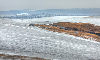 Из серии «Графика зимы» / Иногда природа даёт возможность показать графику зимы. Густой иней покрывает поля и лесополосы. А степь на холмах, с оранжевой травой после жаркого лета, вносит в этот чёрно-белый мир, немного тёплого цвета. 
Предгорный район. Фотопроект «Открывая Ставрополье».