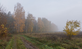 Осінь... / 19.10.2017.