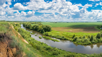 Лето на реке Кшень. / Река Кшень недалеко от впадения в Быструю Сосну.