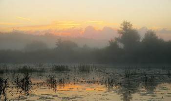 Рассветный пейзаж. / Летний туман на озере.