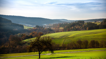 В полях Шварцвальда / Середина ноября на юге Германии.