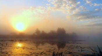 Летний рассвет. / Туман на озере Сосновое.