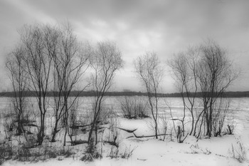 Берег / Вятка