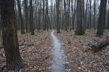Снежная дорожка / Timiryazev park, Koptevo neighborhood, Moscow, Russia