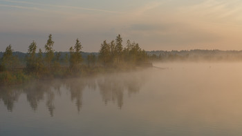 Летнее утро / Утро,рассвет,туман,озеро