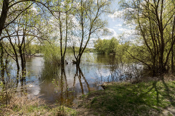 Десна весняна... / 22.04.2018